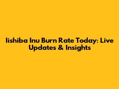 Iishiba Inu Burn Rate Today: Live Updates & Insights