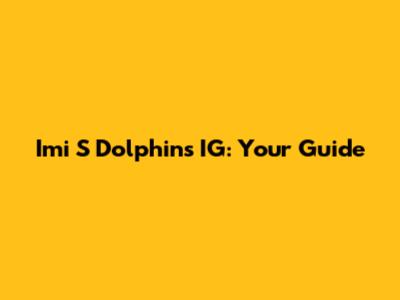 Imi S Dolphins IG: Your Guide