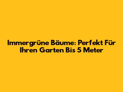 Immergrüne Bäume: Perfekt Für Ihren Garten Bis 5 Meter