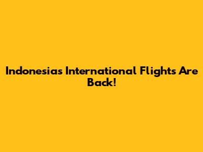Indonesia's International Flights Are Back!
