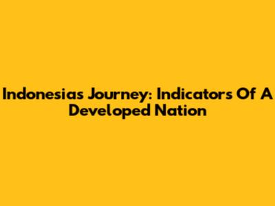 Indonesia's Journey: Indicators Of A Developed Nation