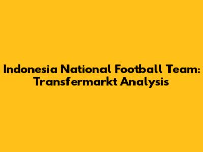 Indonesia National Football Team: Transfermarkt Analysis