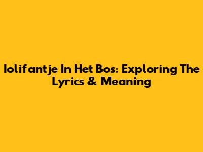 Iolifantje In Het Bos: Exploring The Lyrics & Meaning