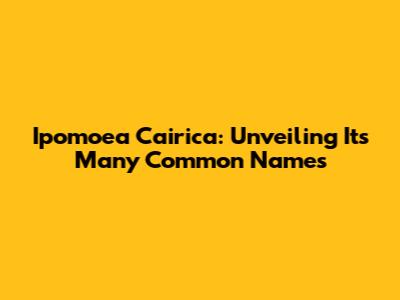 Ipomoea Cairica: Unveiling Its Many Common Names