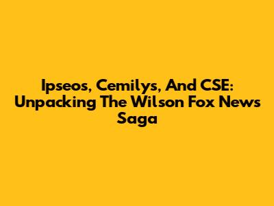 Ipseos, Cemilys, And CSE: Unpacking The Wilson Fox News Saga
