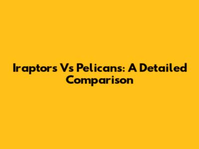 Iraptors Vs Pelicans: A Detailed Comparison
