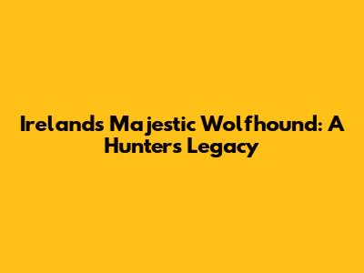 Ireland's Majestic Wolfhound: A Hunter's Legacy