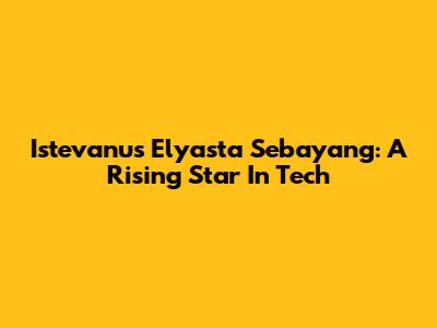 Istevanus Elyasta Sebayang: A Rising Star In Tech