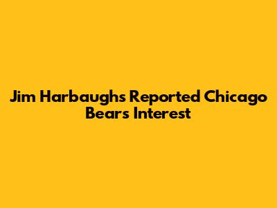 Jim Harbaugh's Reported Chicago Bears Interest