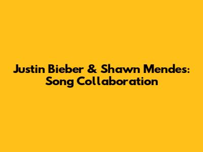 Justin Bieber & Shawn Mendes: Song Collaboration