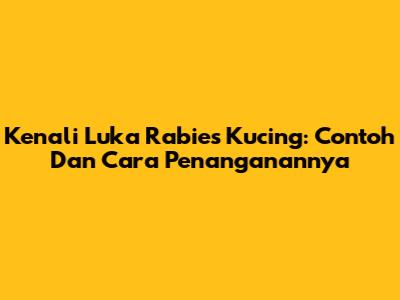 Kenali Luka Rabies Kucing: Contoh Dan Cara Penanganannya