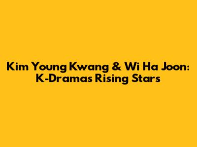 Kim Young Kwang & Wi Ha Joon: K-Drama's Rising Stars
