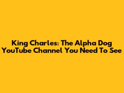 King Charles: The Alpha Dog YouTube Channel You Need To See