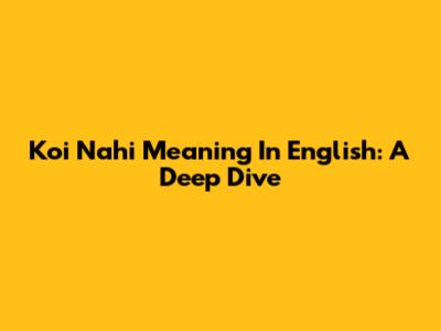 Koi Nahi Meaning In English: A Deep Dive