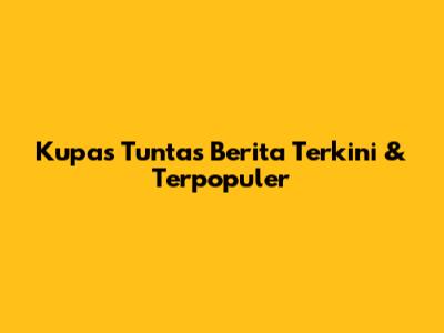 Kupas Tuntas Berita Terkini & Terpopuler
