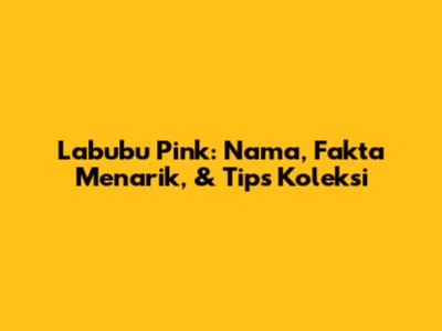 Labubu Pink: Nama, Fakta Menarik, & Tips Koleksi