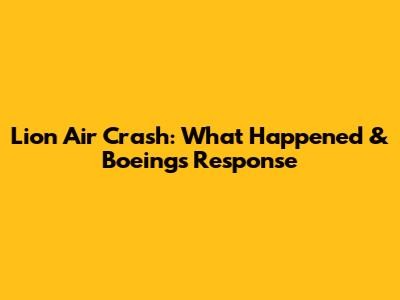 Lion Air Crash: What Happened & Boeing's Response