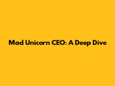 Mad Unicorn CEO: A Deep Dive