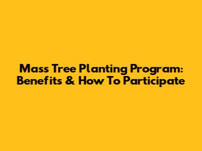 Mass Tree Planting Program: Benefits & How To Participate