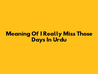Meaning Of 'I Really Miss Those Days' In Urdu