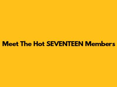 Meet The Hot SEVENTEEN Members
