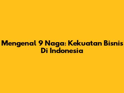 Mengenal 9 Naga: Kekuatan Bisnis Di Indonesia