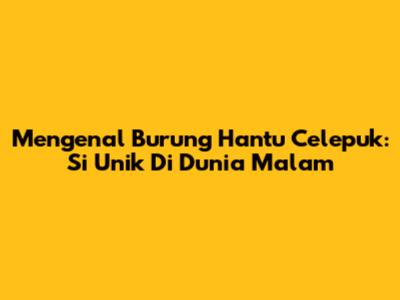 Mengenal Burung Hantu Celepuk: Si Unik Di Dunia Malam