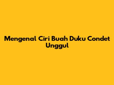 Mengenal Ciri Buah Duku Condet Unggul