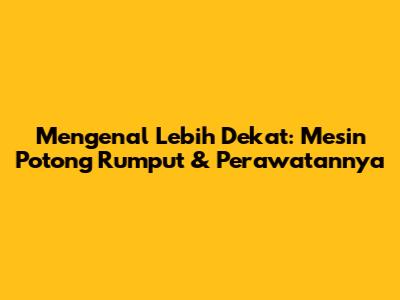 Mengenal Lebih Dekat: Mesin Potong Rumput & Perawatannya