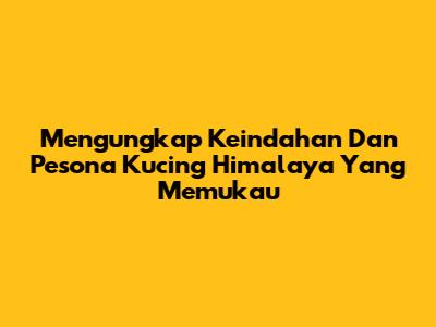 Mengungkap Keindahan Dan Pesona Kucing Himalaya Yang Memukau