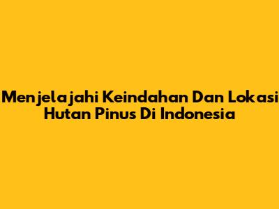 Menjelajahi Keindahan Dan Lokasi Hutan Pinus Di Indonesia