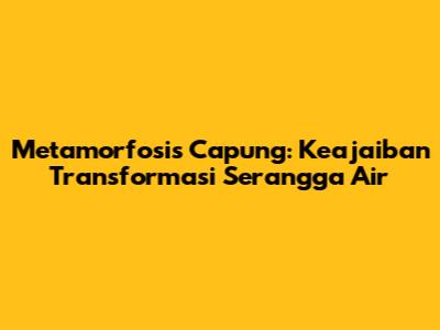 Metamorfosis Capung: Keajaiban Transformasi Serangga Air