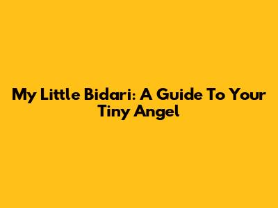 My Little Bidari: A Guide To Your Tiny Angel