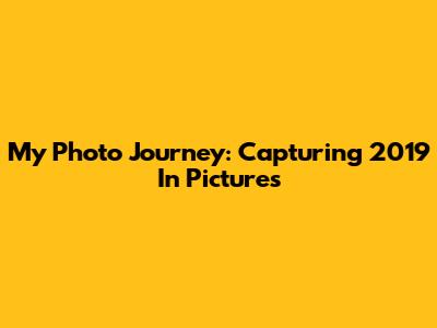 My Photo Journey: Capturing 2019 In Pictures