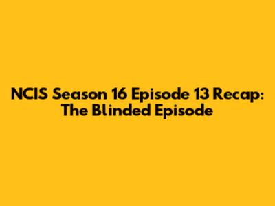 NCIS Season 16 Episode 13 Recap: The 'Blinded' Episode