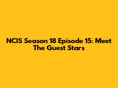 NCIS Season 18 Episode 15: Meet The Guest Stars