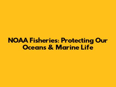 NOAA Fisheries: Protecting Our Oceans & Marine Life