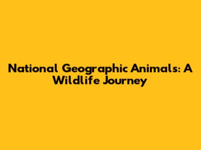 National Geographic Animals: A Wildlife Journey