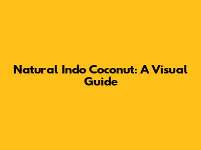 Natural Indo Coconut: A Visual Guide