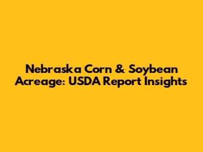 Nebraska Corn & Soybean Acreage: USDA Report Insights