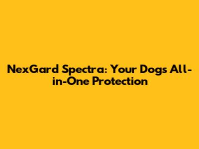 NexGard Spectra: Your Dog's All-in-One Protection