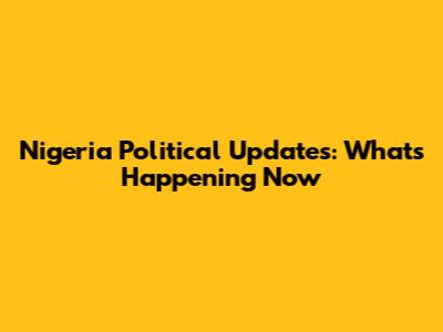Nigeria Political Updates: What's Happening Now