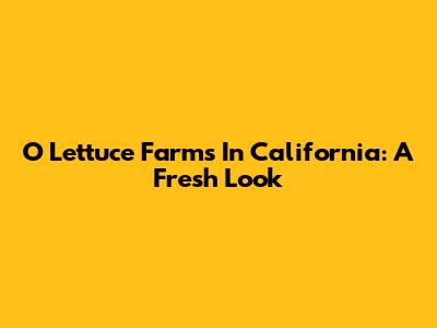 O Lettuce Farms In California: A Fresh Look