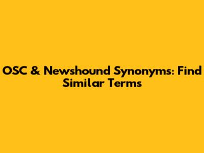 OSC & Newshound Synonyms: Find Similar Terms