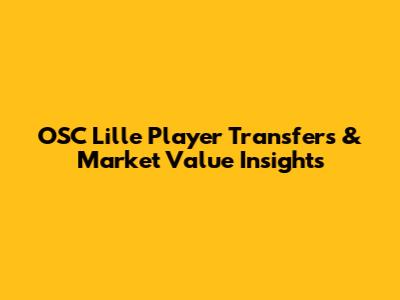 OSC Lille Player Transfers & Market Value Insights