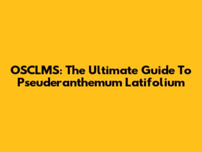 OSCLMS: The Ultimate Guide To Pseuderanthemum Latifolium