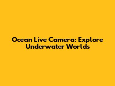 Ocean Live Camera: Explore Underwater Worlds