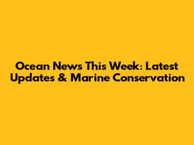 Ocean News This Week: Latest Updates & Marine Conservation