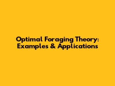 Optimal Foraging Theory: Examples & Applications