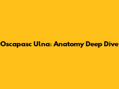 Oscapasc Ulna: Anatomy Deep Dive